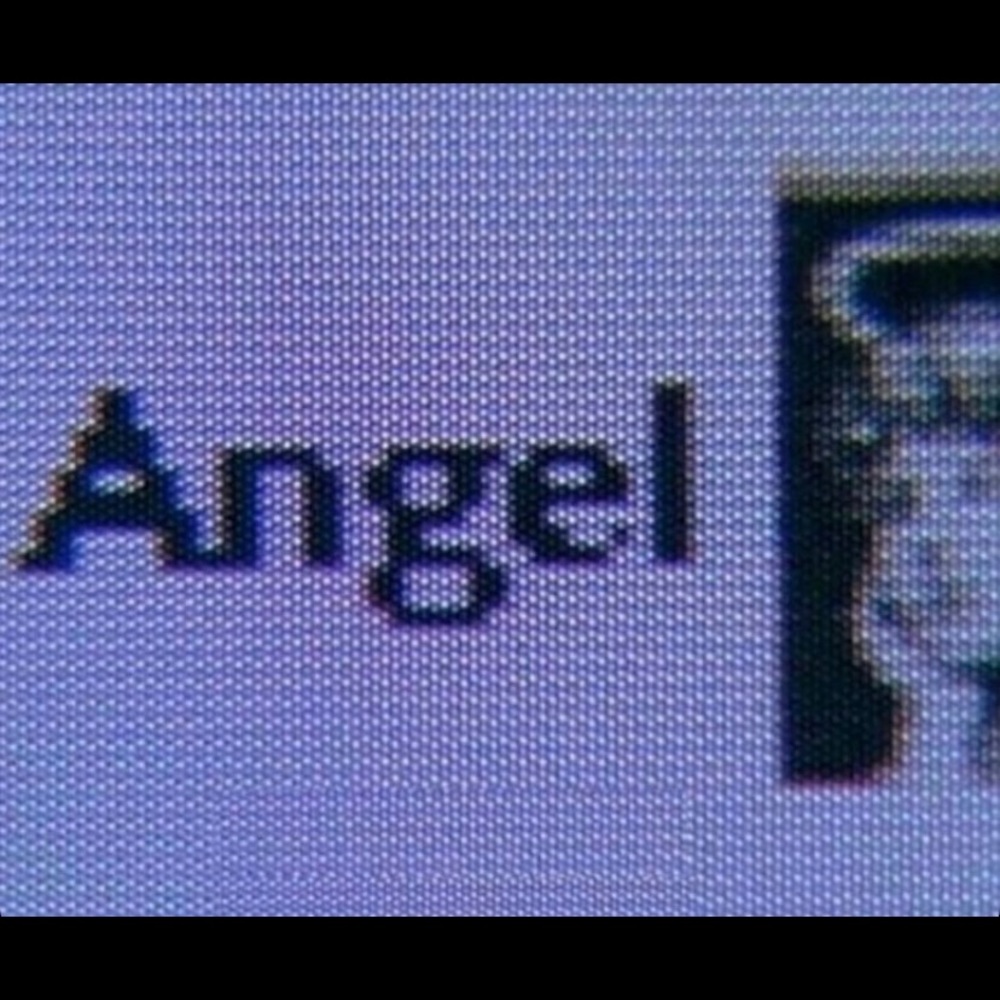 Meet your Posher, Kyra